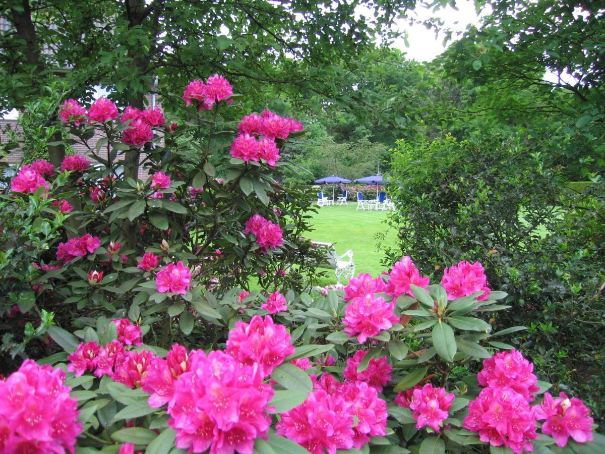 Hotel Zum Rosenteich Bad Zwischenahn Esterno foto